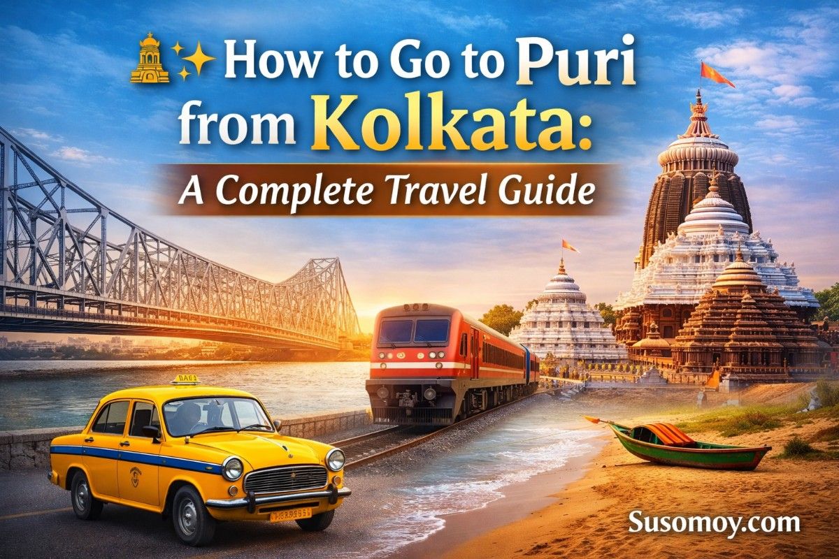 how to go puri