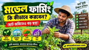 মডেল ফার্মিং কী