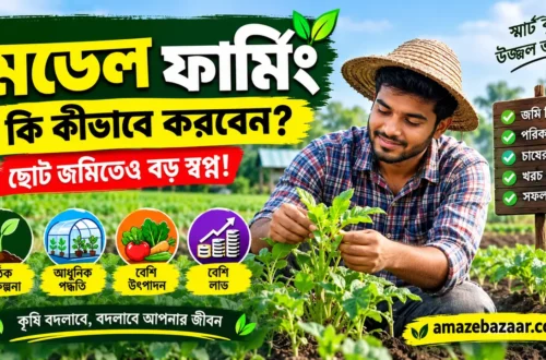 মডেল ফার্মিং কী
